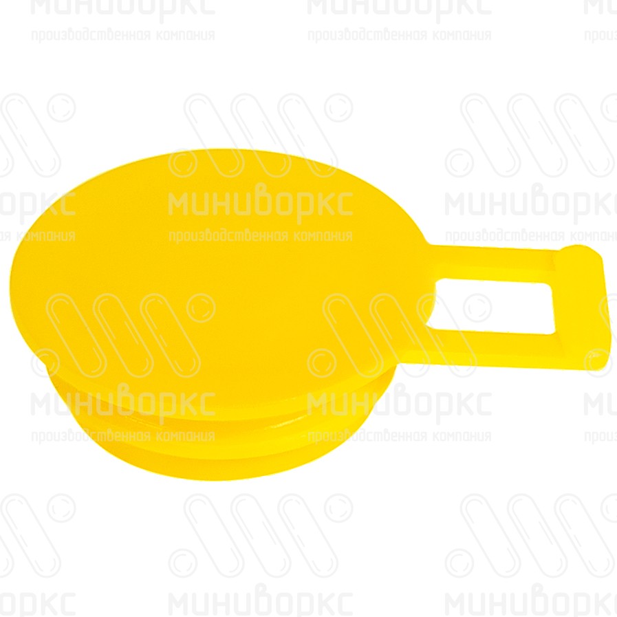 Заглушки для резьбовых отверстий m36×2 – TSFL2-36 | картинка 1